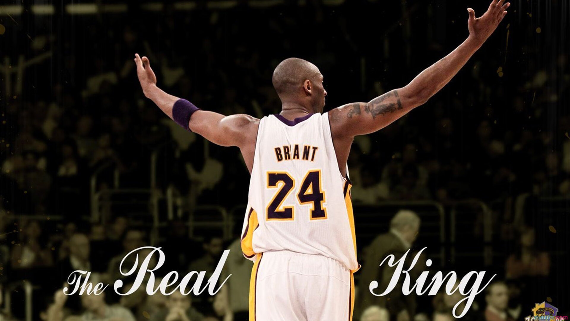 E队替补奇兵上演绝杀成赛场焦点，edg替补中单gori